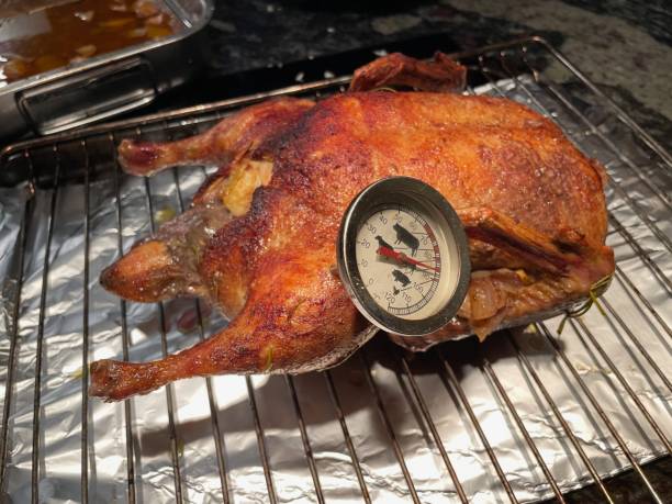 istock Meat thermometer stuck into crispy roast duck. 1827020707
