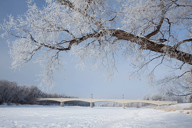 assiniboine park winnipeg - manitoba winnipeg winter bridge fotografías e imágenes de stock