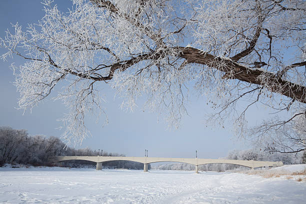 assiniboine park winnipeg - manitoba winnipeg winter bridge zdjęcia i obrazy z banku zdjęć
