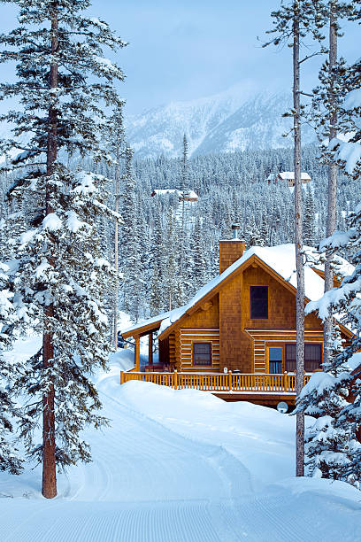 ski-in/out - cabin log cabin log house stock-fotos und bilder