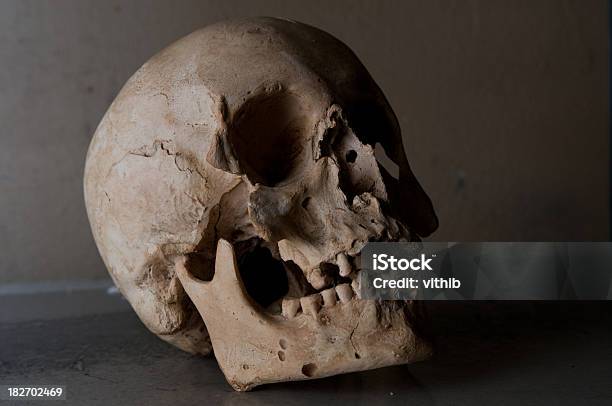 Human Schädel Stockfoto und mehr Bilder von Alt - Alt, Anatomie, Angst