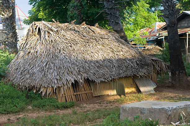 istock Traditional hut among modern houses, West Timor. 182703184