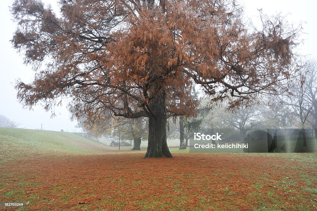 Herbst-Park - Lizenzfrei Königshaus Stock-Foto