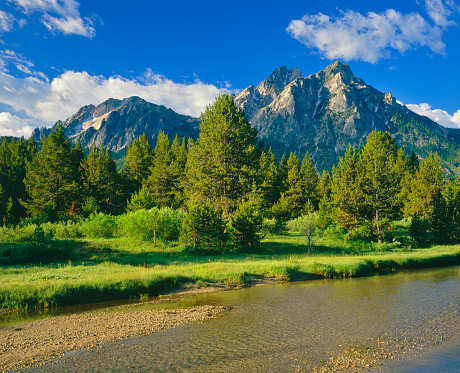 The Sawtooth Range sits in the distance in  a meadow, in the Sawtooth National Recreation Area of Stanley, Idaho. 