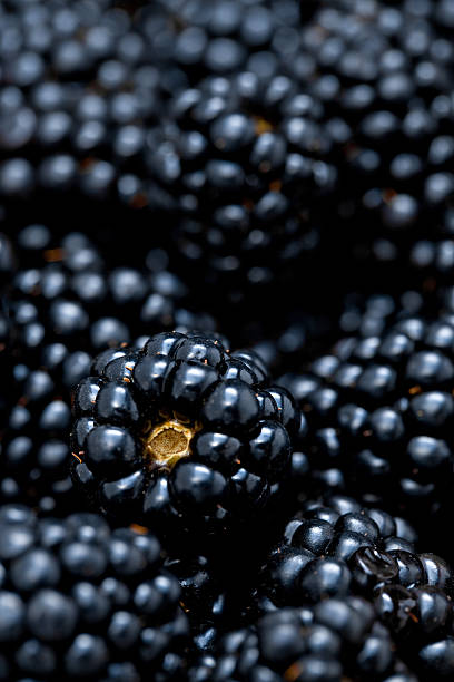 istock many delicious blackberries close 182703543