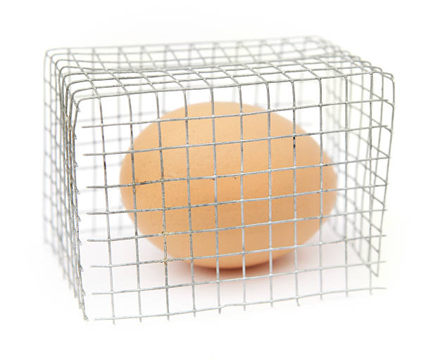 Cage Egg A chicken egg in a cage to represent the battery hen industry. Isolated on white. battery hen stock pictures, royalty-free photos & images