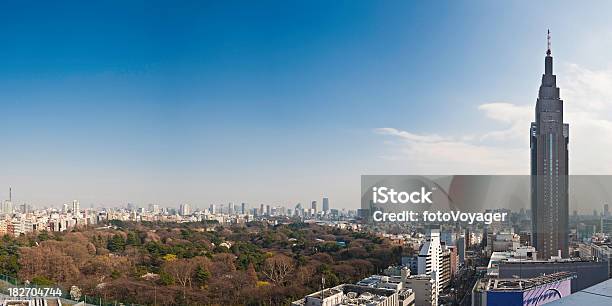 Shinjuku Tokio Wieżowiec Towers Krajobraz Miejski Gyoen Zielony Park Panorama Japonii - zdjęcia stockowe i więcej obrazów Okręg Shinjuku