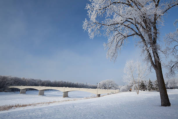 assiniboine park winnipeg - manitoba winnipeg winter bridge imagens e fotografias de stock