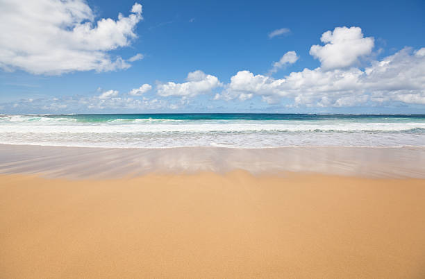 istock Tropical sandy beach with turquoise ocean 182705027