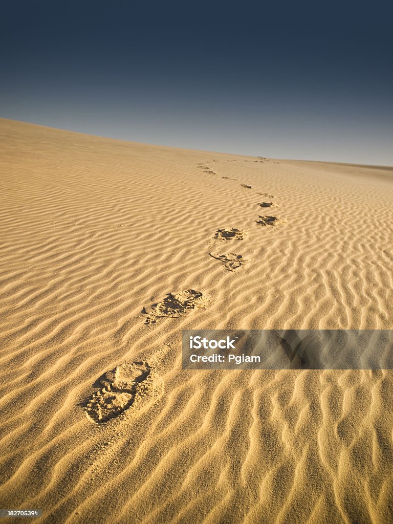 Ścieżka Piaszczyste Wydmy na pustyni - Zbiór zdjęć royalty-free (Fotografika)