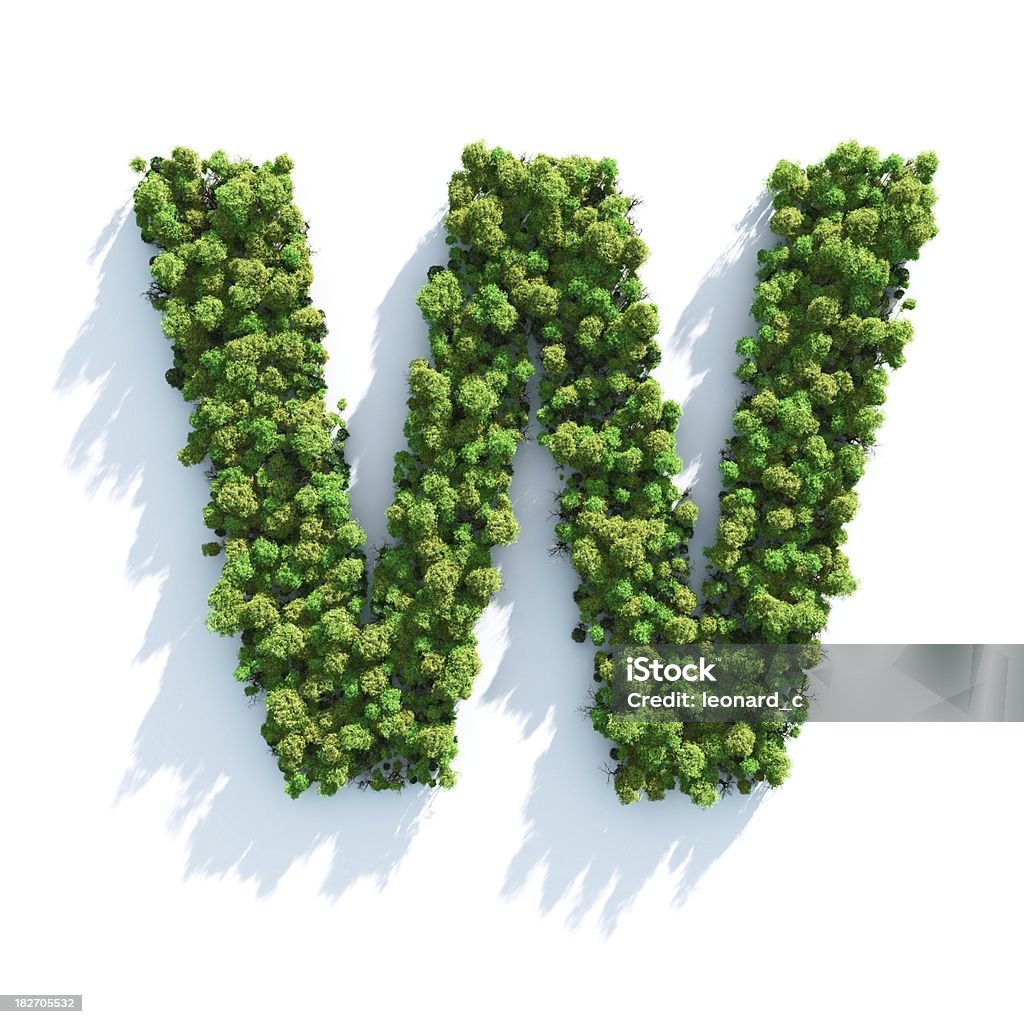Letter W: Top View "Highly detailed tree alphabet on a white background. Morning light with projected shadows, which can be multiplied in an editing software for an easy composite over your own background. Lit with global radiosity." Letter W Stock Photo