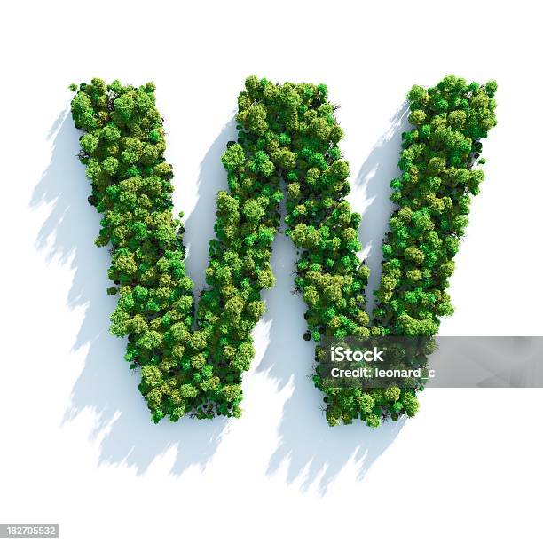 Letter W Top View Stock Photo - Download Image Now - Letter W, Forest, Tree