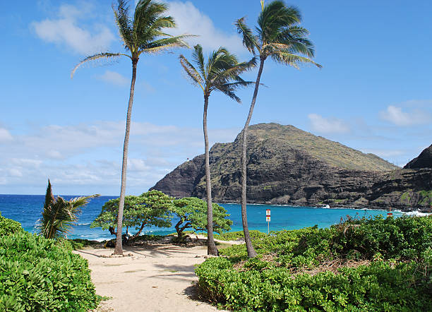 Makapuu Beach Park in Oahu.