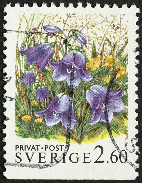 istock Swedish bluebells on a postage stamp 182705703