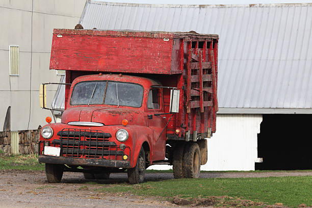 istock Old Red Farm Truck Covered with Bird Droppings 182705828