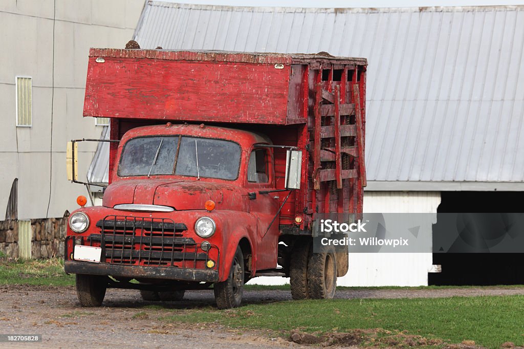 Caminhão vermelho antiga fazenda de aves cobertas com Droppings - Foto de stock de Agricultura royalty-free