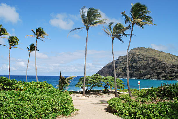 istock Makapuu Beach Park in Oahu 182706114