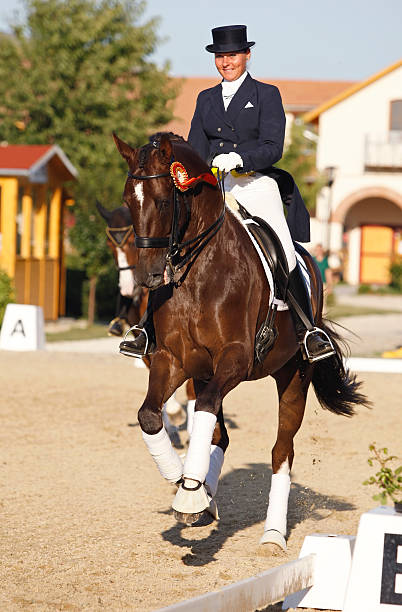 istock The dressage winner 182706204