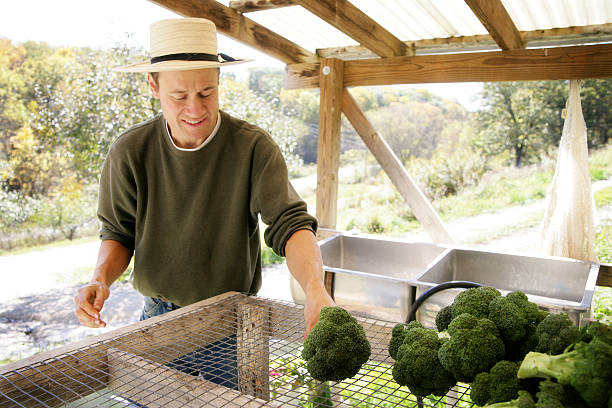 istock Farmer Preparing for Community Farmer's Market 182706221