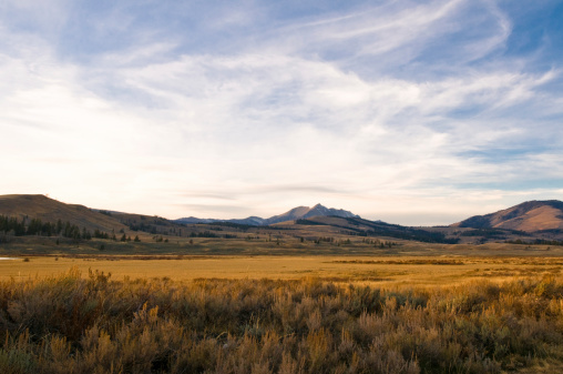 This is a landscape image of rolling hills in yellowstone park.click the banner below for similar images