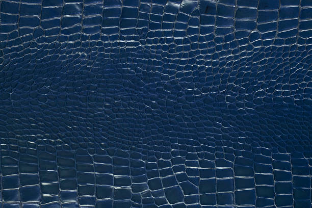 istock Textured background of genuine leather in Lizard skin pattern 182707726