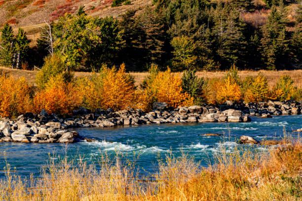 istock Oldman Dam Provincial Recreation Area, Alberta, Canada 1827077437