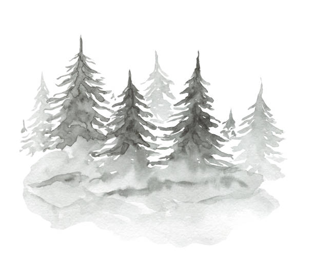 акварельная туманная бледно-серая пихта лес иллюстрация - pine tree brush stroke winter snow stock illustrations