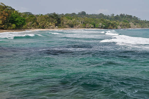istock Tropical Coast and Beach Near Bocas Del Toro, Panama 182707959