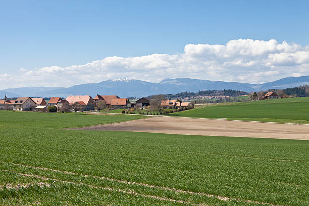 村 vaud 、スイス、春には、剥き出しの木 - jura canton ストックフォトと画像