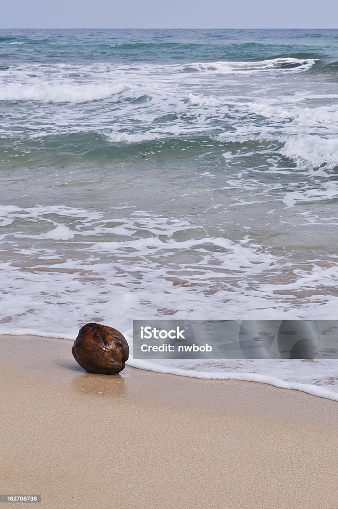 Coco Caribe en Tropical playa - Foto de stock de Arena libre de derechos