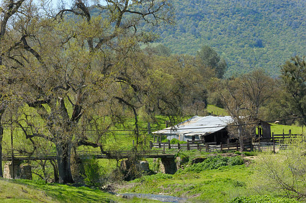 istock Rustic Barn on Bank of Creek 182709095