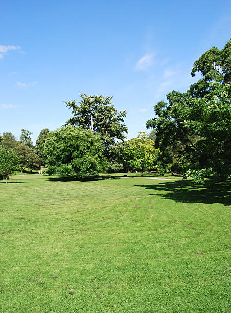 istock Detail of park 182709251