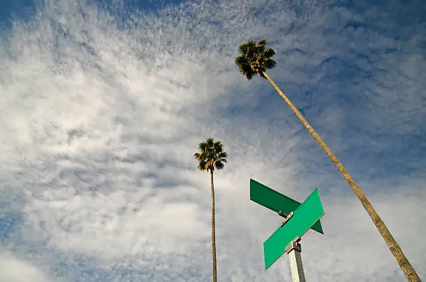 Looking up towards a dramatic sky past blank street signs at a crossroad and a pair of California Palms. Shot on a bright summer's day.New to iStockphoto Click the badge below to sign up now: