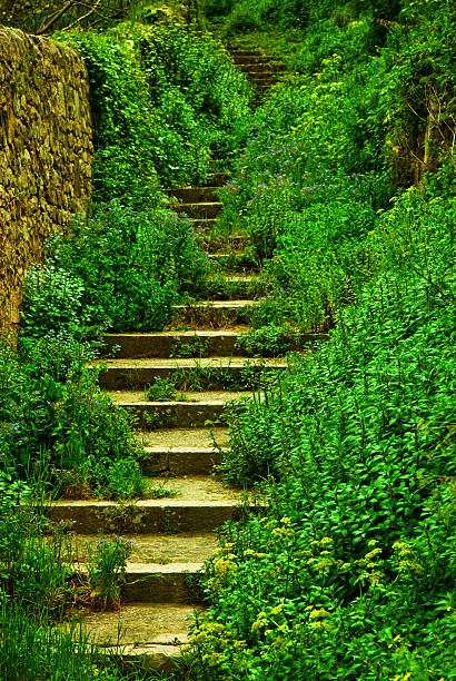 Romantic Fairy Tale Stairway