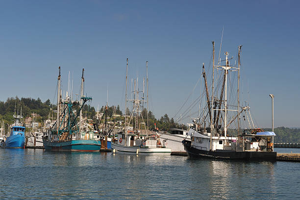 istock Fishing Boats 182709981