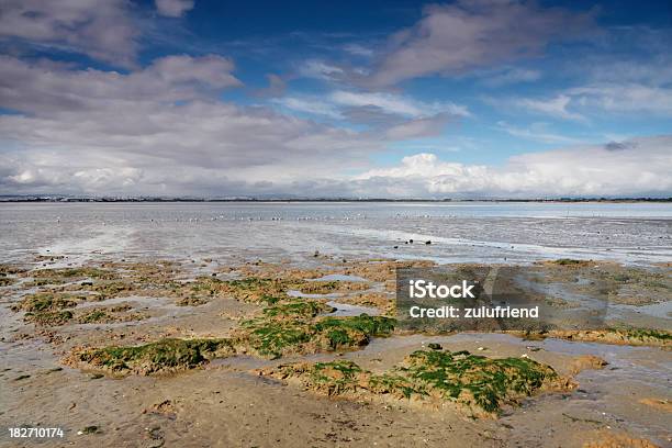 Río Tajo A La Marea Baja Foto de stock y más banco de imágenes de Agua - Agua, Aire libre, Color - Tipo de imagen