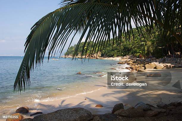 Riviera Mexicano - Fotografias de stock e mais imagens de Porto Vallarta - Porto Vallarta, Praia, América Latina