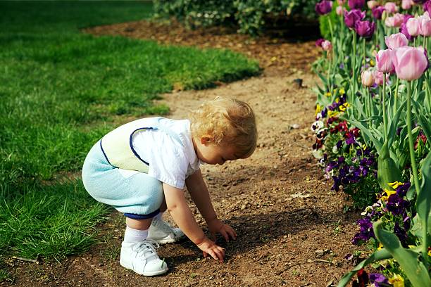 istock Toddler Playing In Dirt 182710537