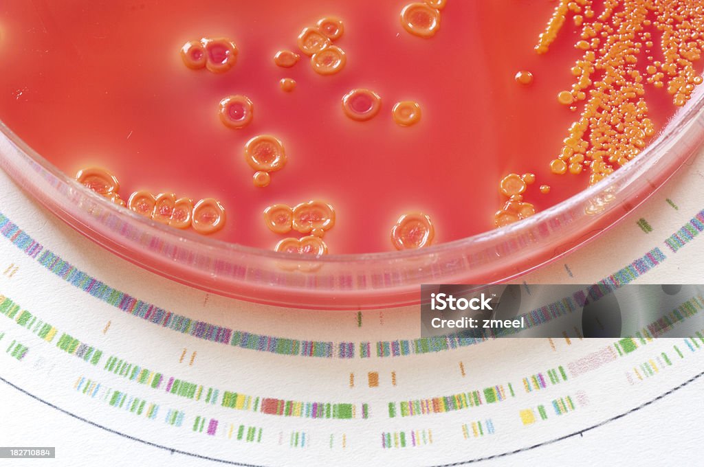 Bakterien- Genom - Lizenzfrei Bakterie Stock-Foto