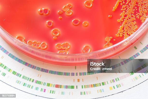 Bakterien Genom Stockfoto und mehr Bilder von Bakterie - Bakterie, DNA, Farbbild