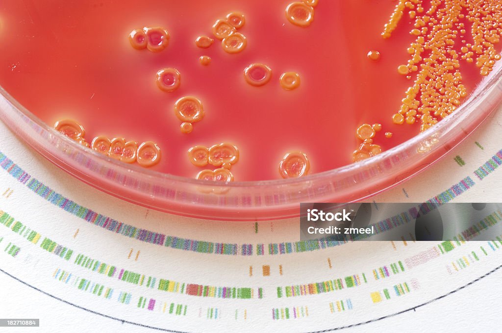 Genoma bacteriana - Foto de stock de ADN libre de derechos