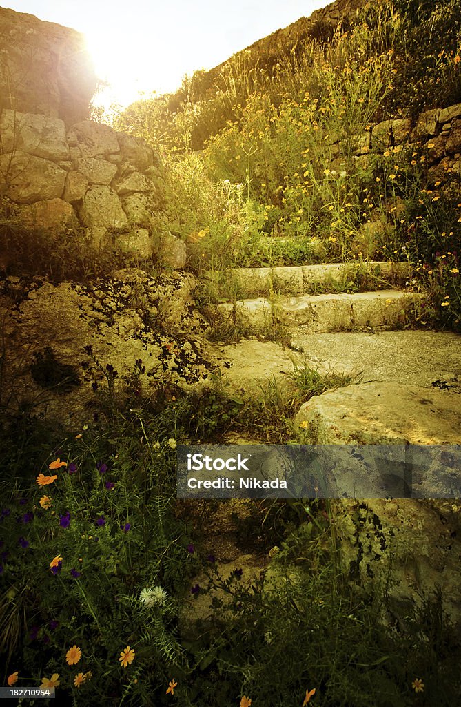 Старый сицилийские лестнице с wildflowers - Стоковые фото Без людей роялти-фри