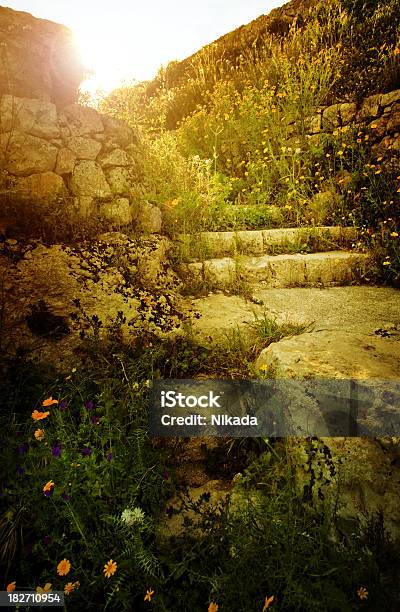 Старый Сицилийские Лестнице С Wildflowers — стоковые фотографии и другие картинки Без людей - Без людей, Вертикальный, Время года