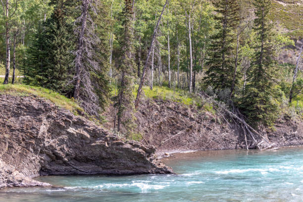 istock PRA Wildhorse, Mountainview County, Alberta, Canada 1827126224