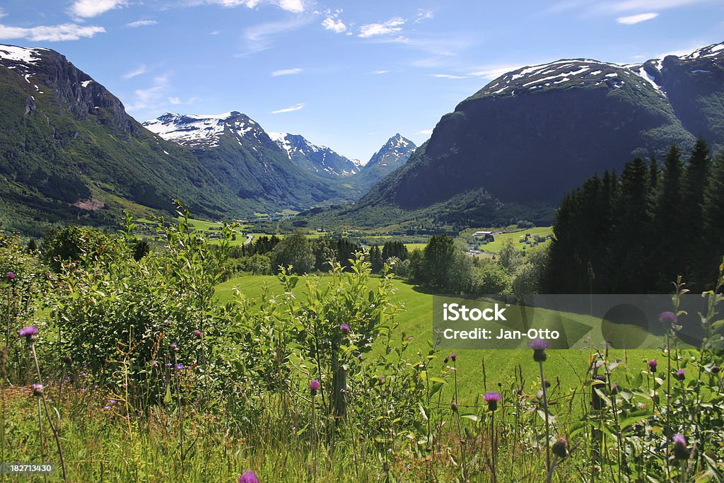 Норвежский горы и meadows. - Стоковые фото Норвегия роялти-фри