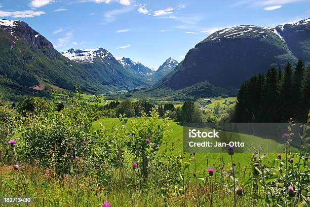 Норвежский Горы И Meadows — стоковые фотографии и другие картинки Норвегия - Норвегия, Без людей, Бодяк