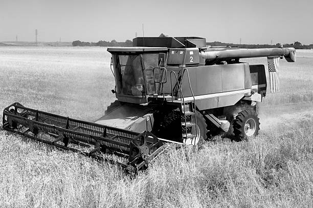 Combine. Old grain harvester in the field