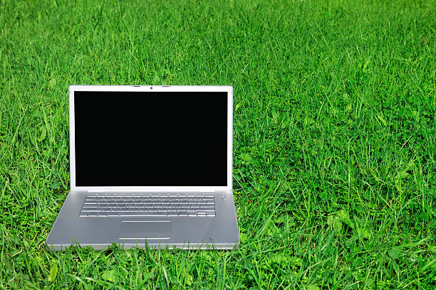 istock Laptop on fresh green grass 182714041