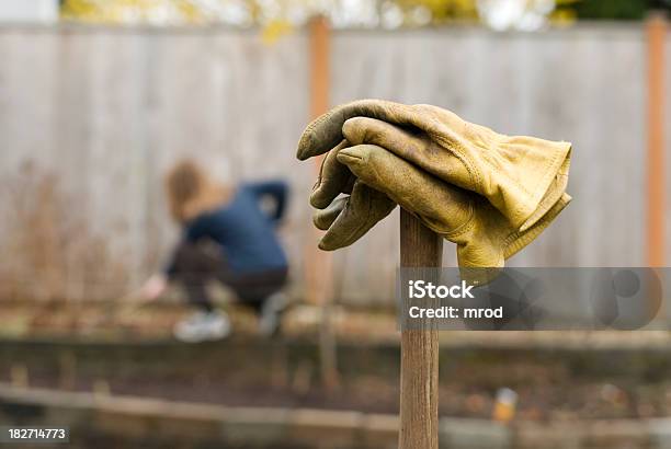 Gardening Stock Photo - Download Image Now - Adult, Agriculture, Bending Over