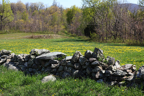 Stone Wall and Meadow stock photo